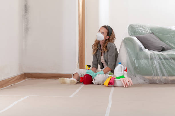 Reliable Mold Removal contractor in East Rutherford, NJ by 24 Hour Mold Removal